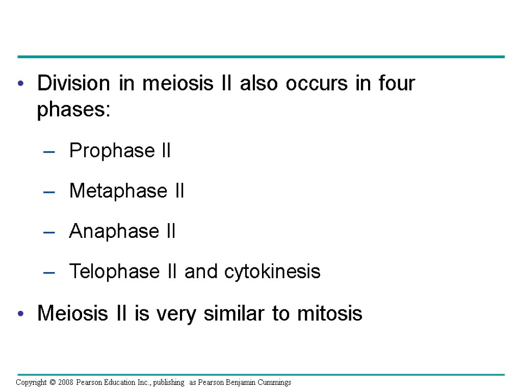Division in meiosis II also occurs in four phases: – Prophase II – Metaphase